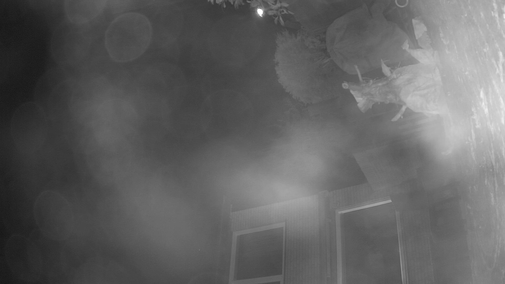 nightvision-reflection.png